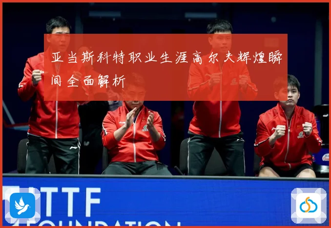 亚当斯科特职业生涯高尔夫辉煌瞬间全面解析