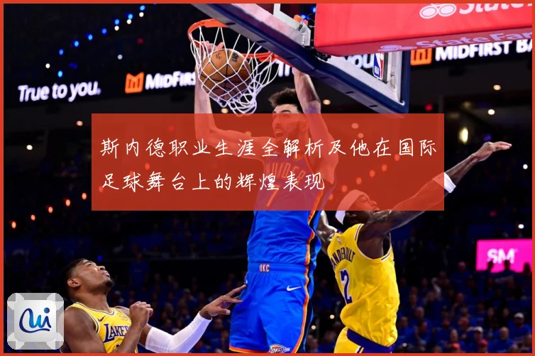 斯内德职业生涯全解析及他在国际足球舞台上的辉煌表现
