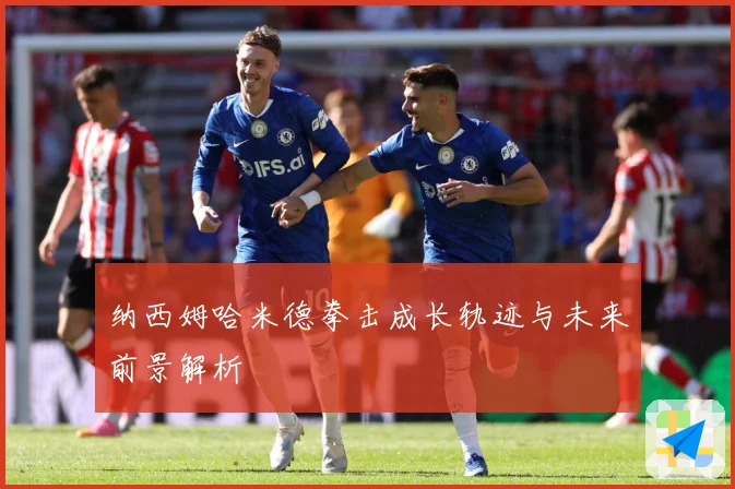 纳西姆哈米德拳击成长轨迹与未来前景解析