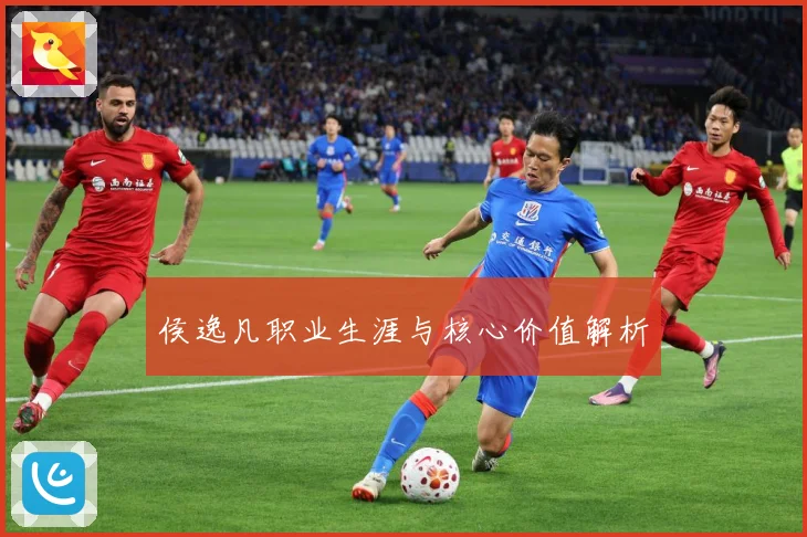 侯逸凡职业生涯与核心价值解析