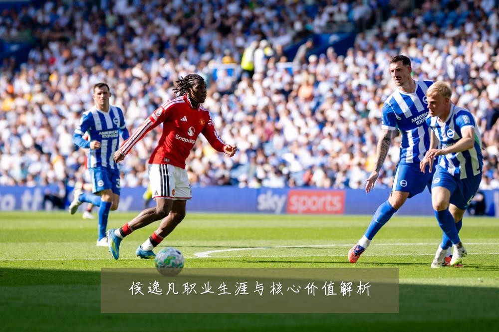 侯逸凡职业生涯与核心价值解析