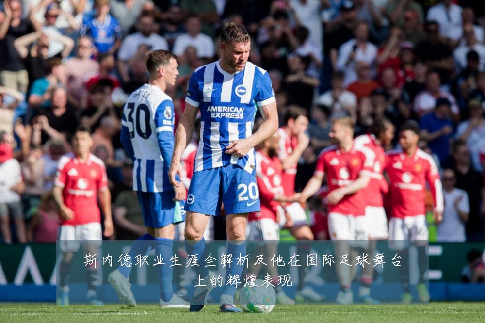 斯内德职业生涯全解析及他在国际足球舞台上的辉煌表现