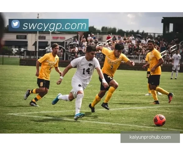 开云体育下载平台全面升级 提供更流畅的体育赛事观看体验